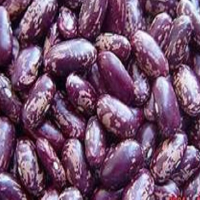 Wholesale High Quality Light Speckled Kidney Beans Different Types Of Pulses