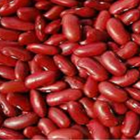 Red Kidney Beans, Light Speckled Kidney Bean, Frozen Beans