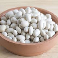 Best Quality Small Size White Kidney Bean