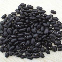 High Quality Black Kidney Bean