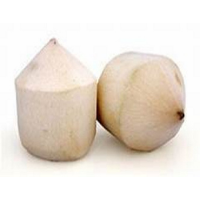 FRESH YOUNG COCONUT - BEST PRICE FOR HOLIDAY- HIGH QUALITY