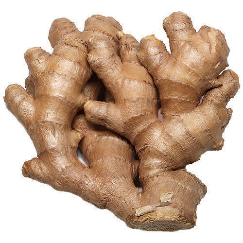 Factory Direct Sale Fresh Ginger