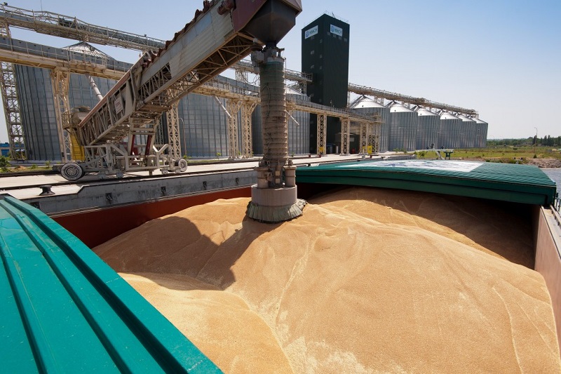 Export Of Russian Wheat To Turkey.  