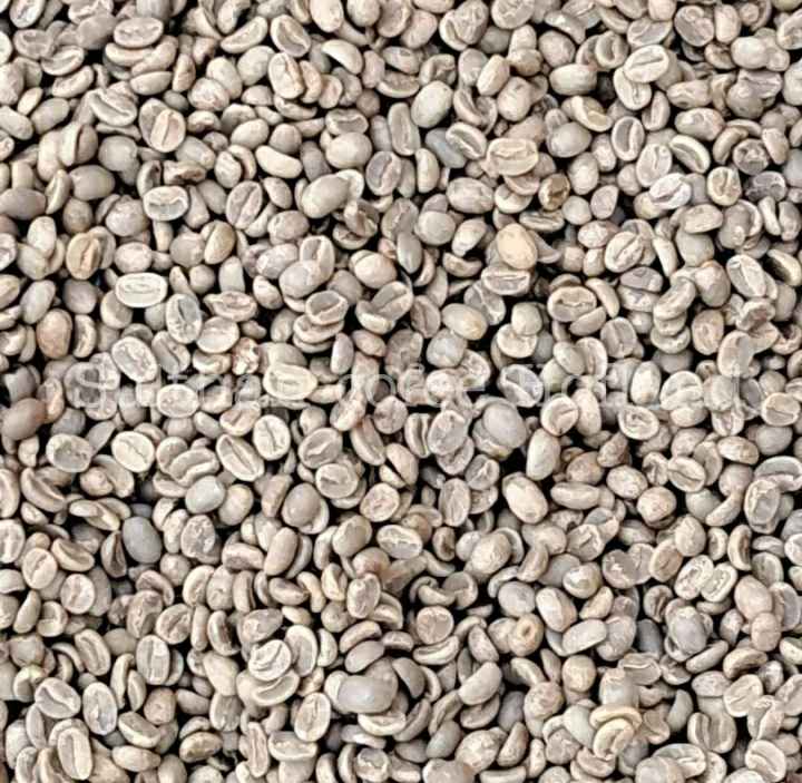 Coffee Green Robusta Beans