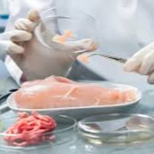 Food safety and testing equipment