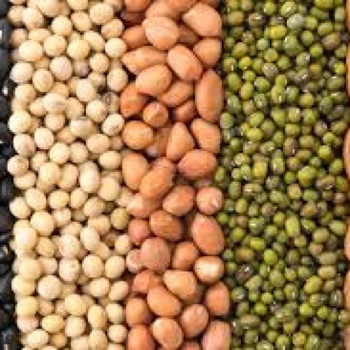 Vegetable Seeds