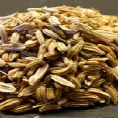  Herb Seeds
