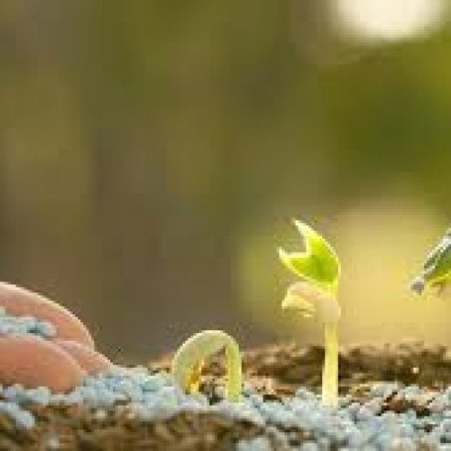 Chemical Fertilizers