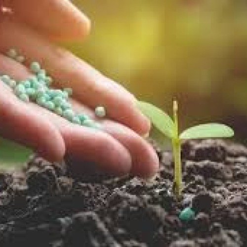 Biofertilizers