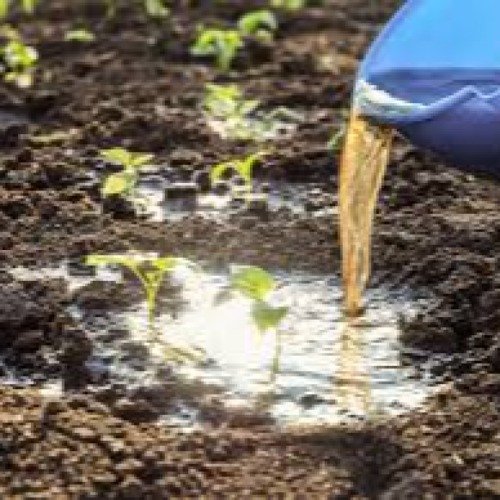 Liquid Fertilizers