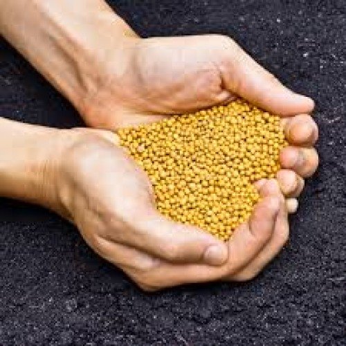 Slow Release Fertilizers