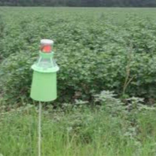 Integrated Pest Management (IPM) Product