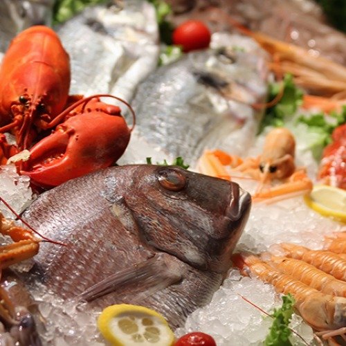 Frozen Meat & Seafood