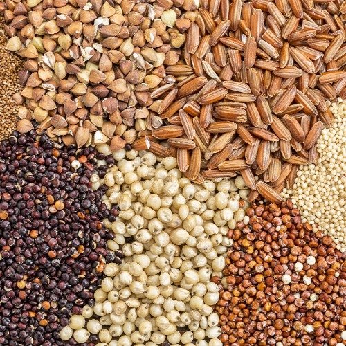 Organic Grains