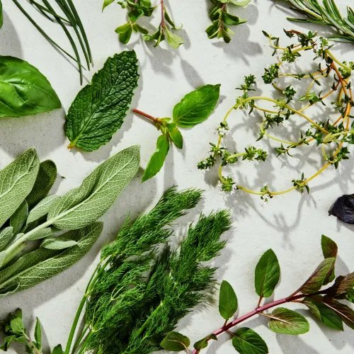 Fresh Herbs