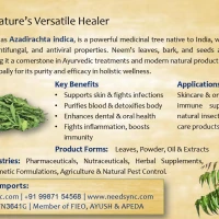 Neem Powder & Leaves 