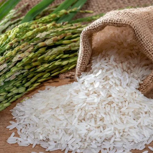 Organic Rice