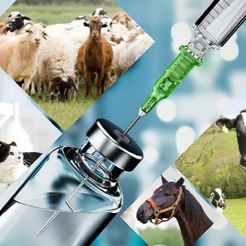 Veterinary pharmaceuticals