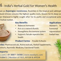 Shatawari Powder & Roots 